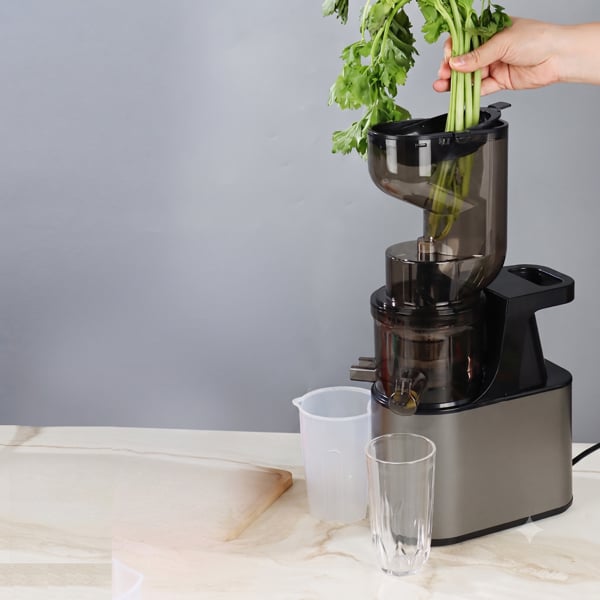 Máy Ép Chậm Slow Juicer SD, Máy Ép Trái Cây Rau Củ, Giữ Nước Ép Nguyên Chất