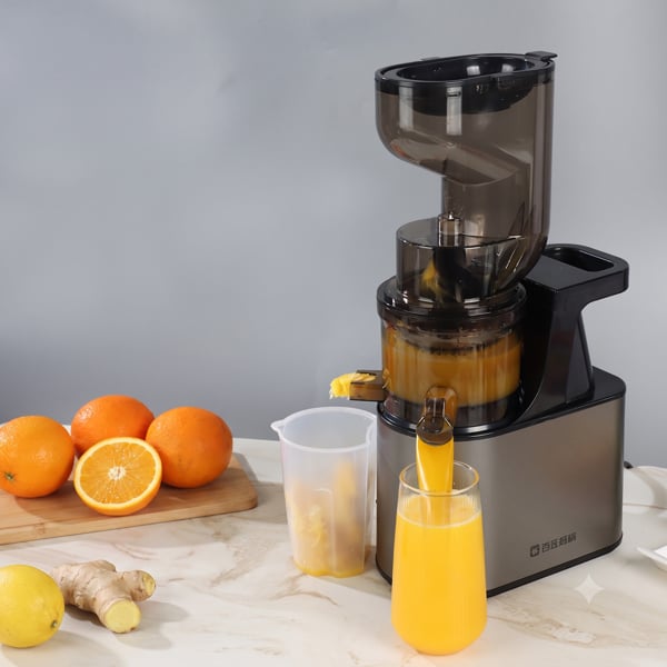 Máy Ép Chậm Slow Juicer SD, Máy Ép Trái Cây Rau Củ, Giữ Nước Ép Nguyên Chất
